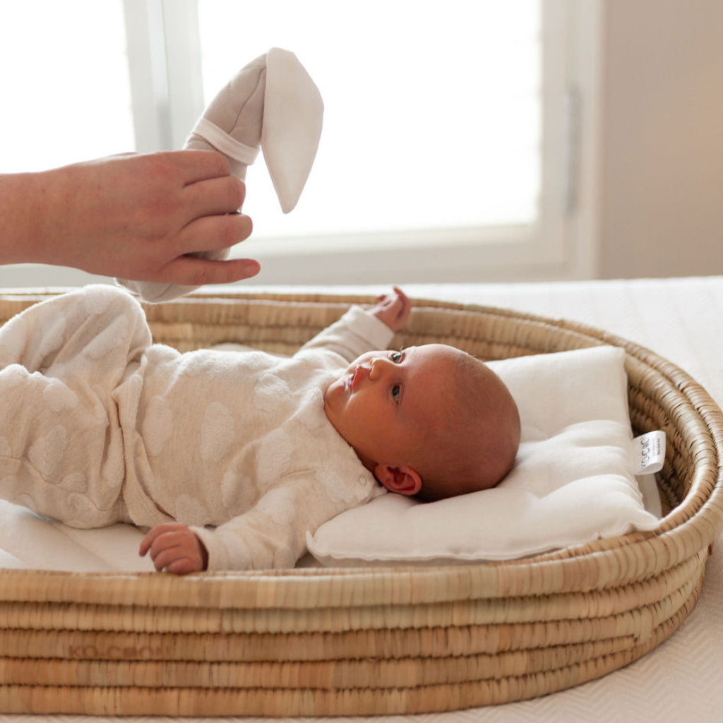 2-Piece Changing Set (Changing basket + Quilted Padding)