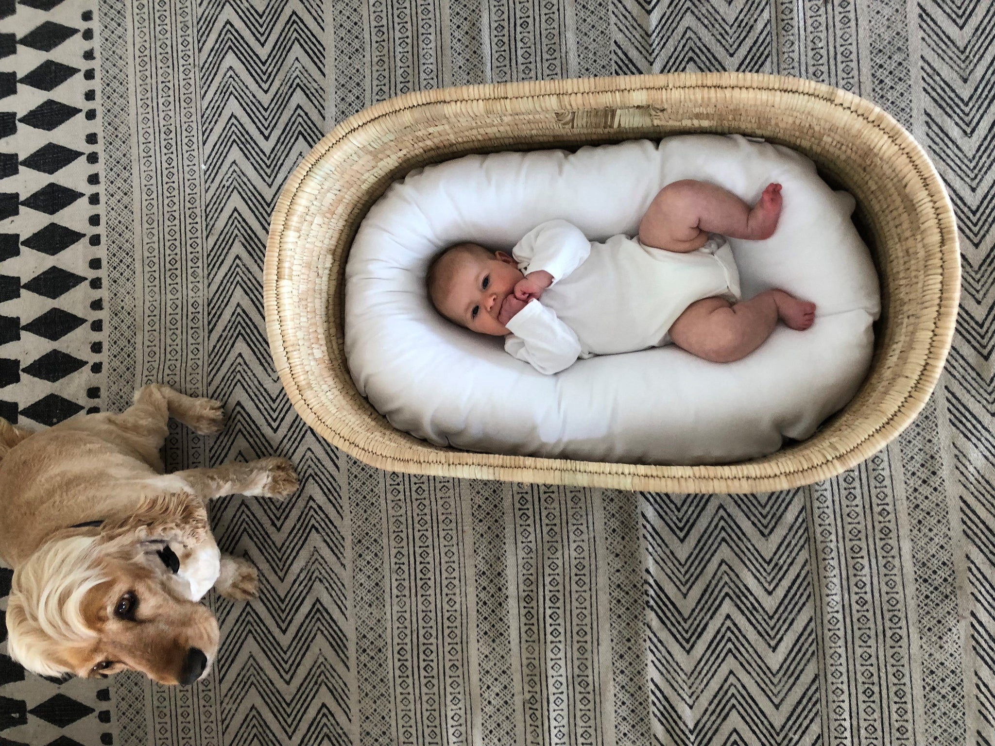 Newborn baby sleeping basket shop